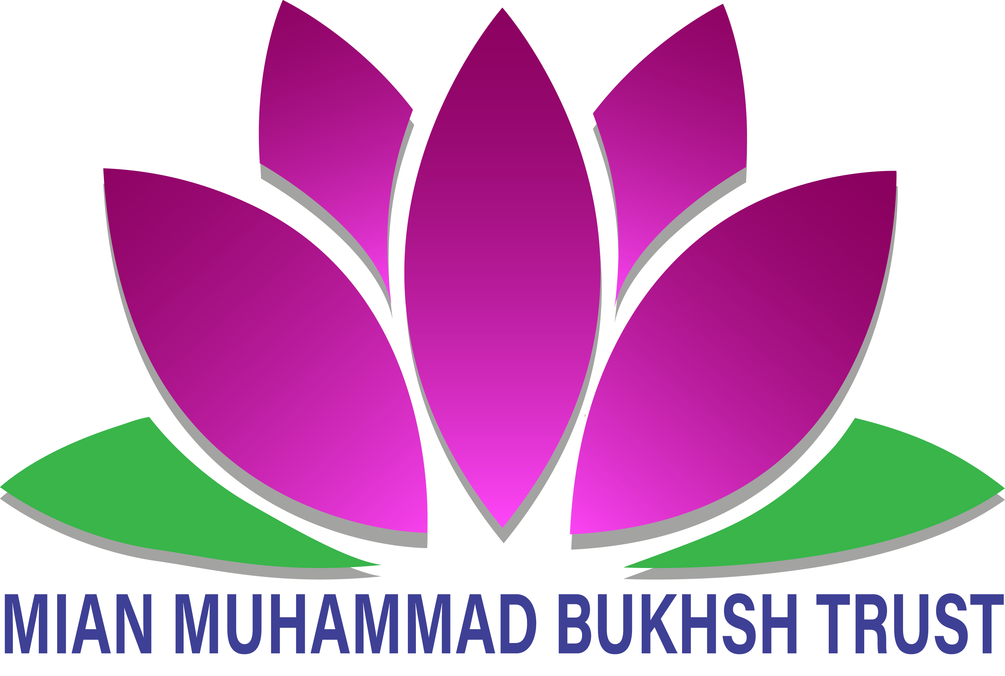 Bukhsh Hospital